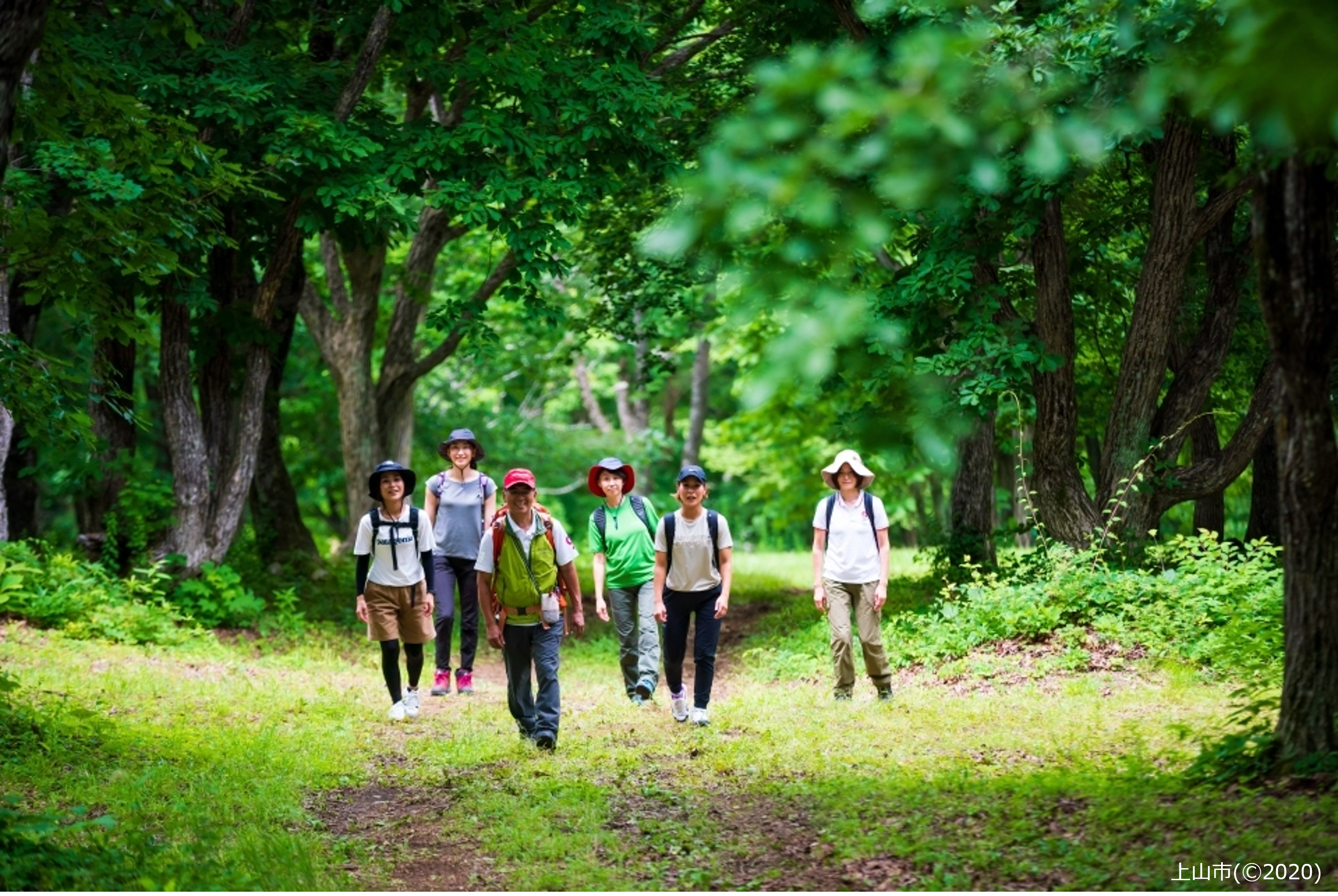 森業ポータルトップ画像「森林サービス産業(上山市地域(&copy;2020))」