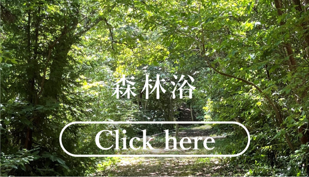 森林浴はこちらをクリック