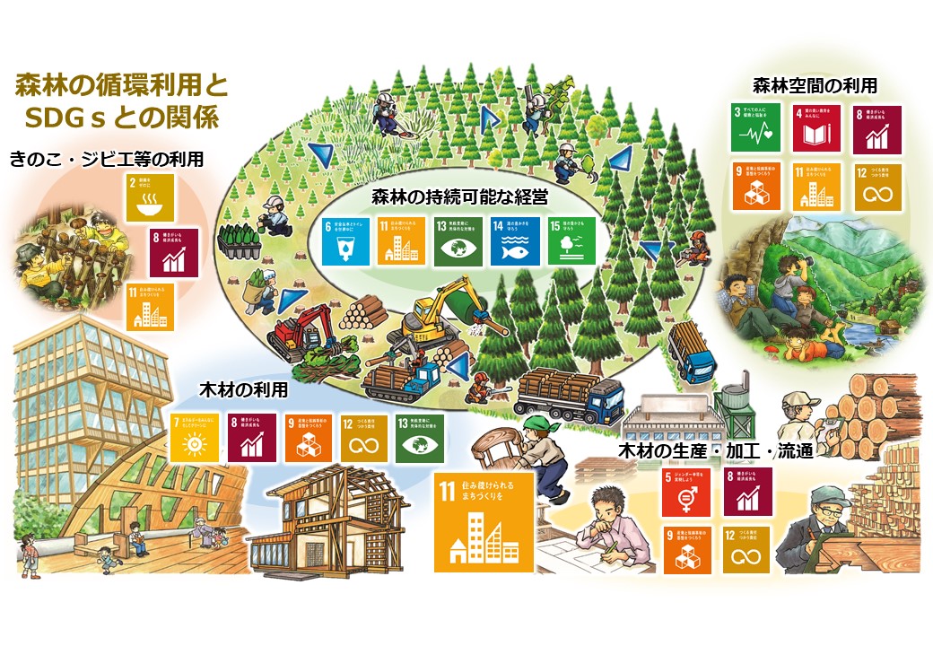 森林業循環活用図(SDGｓとの関係)