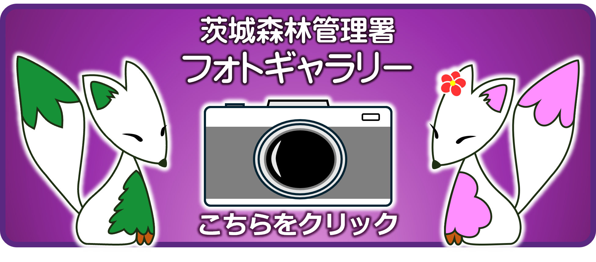 茨城森林管理署フォトギャラリー