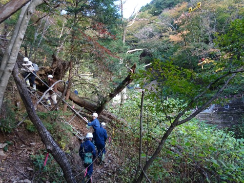 治山工事現場への移動