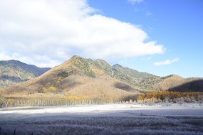 晩秋の小田代原