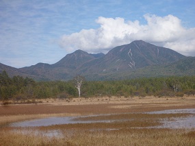 冠水した小田代原