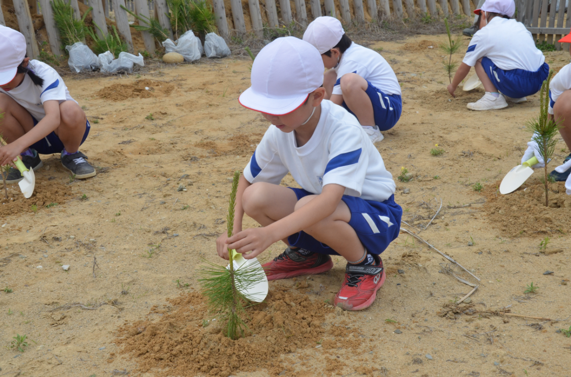 草野建設・物林  松川浦松林再生チーム植樹の様子