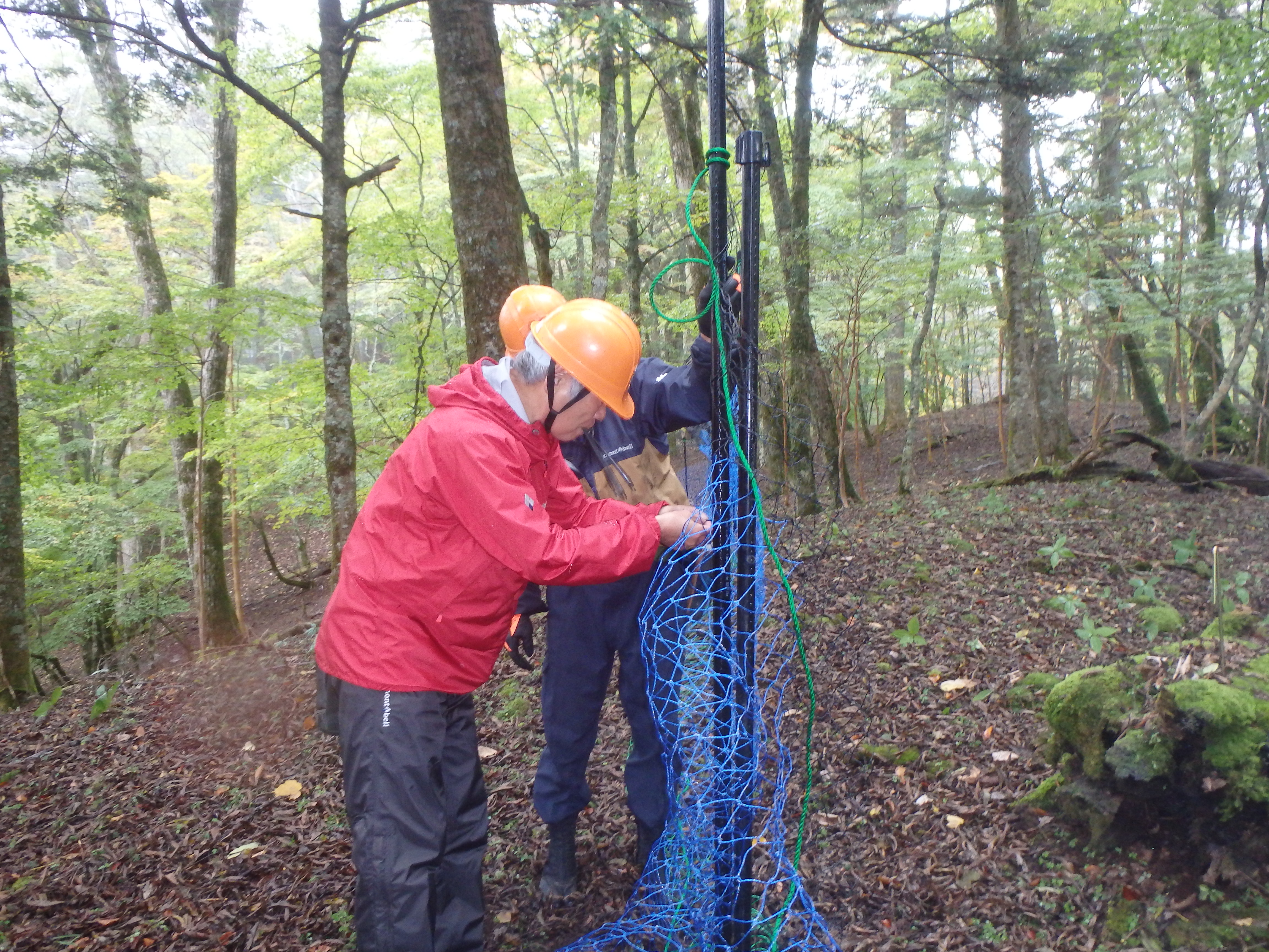 植生保護柵の設置の様子