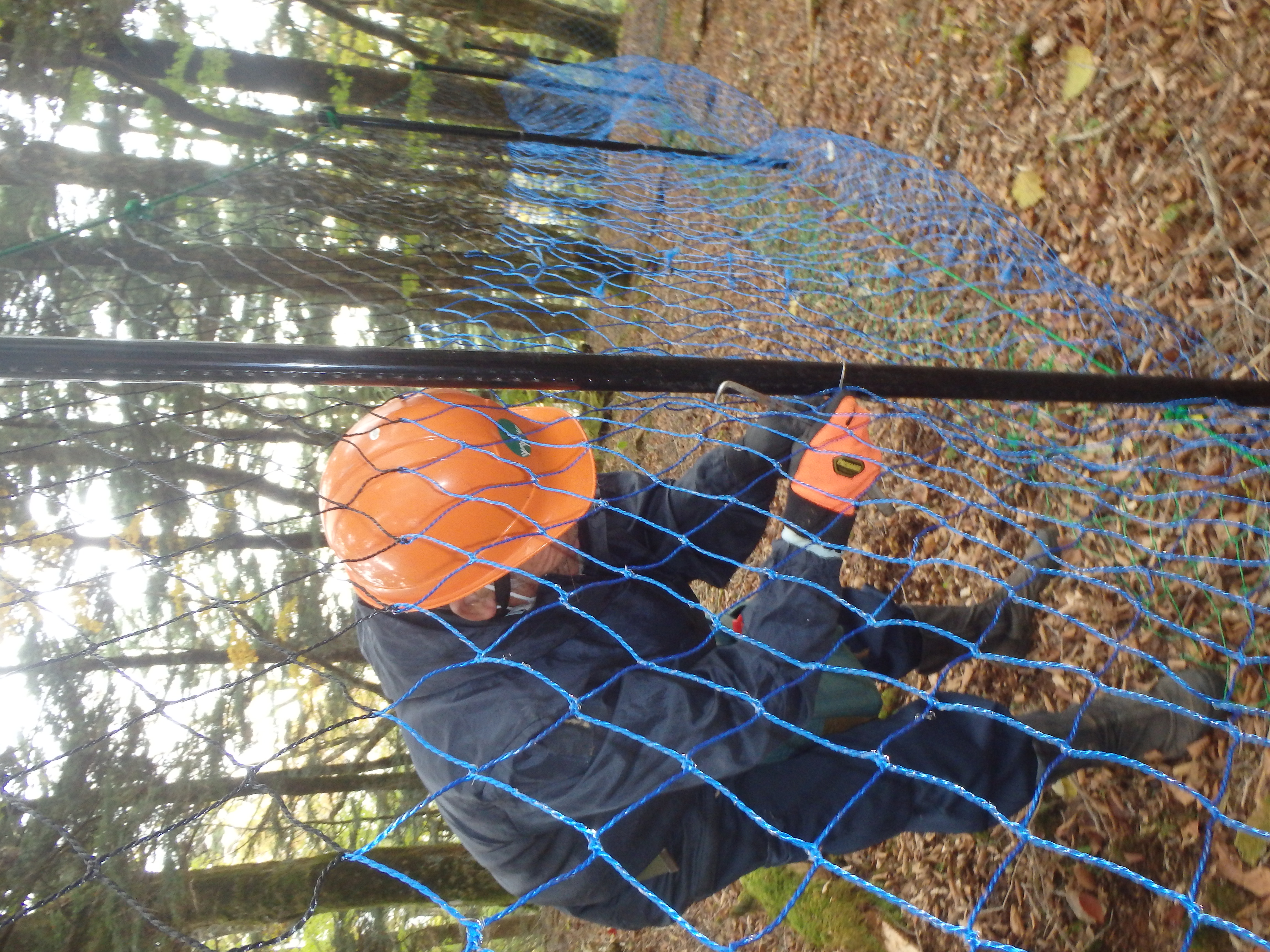植生保護柵の設置の様子