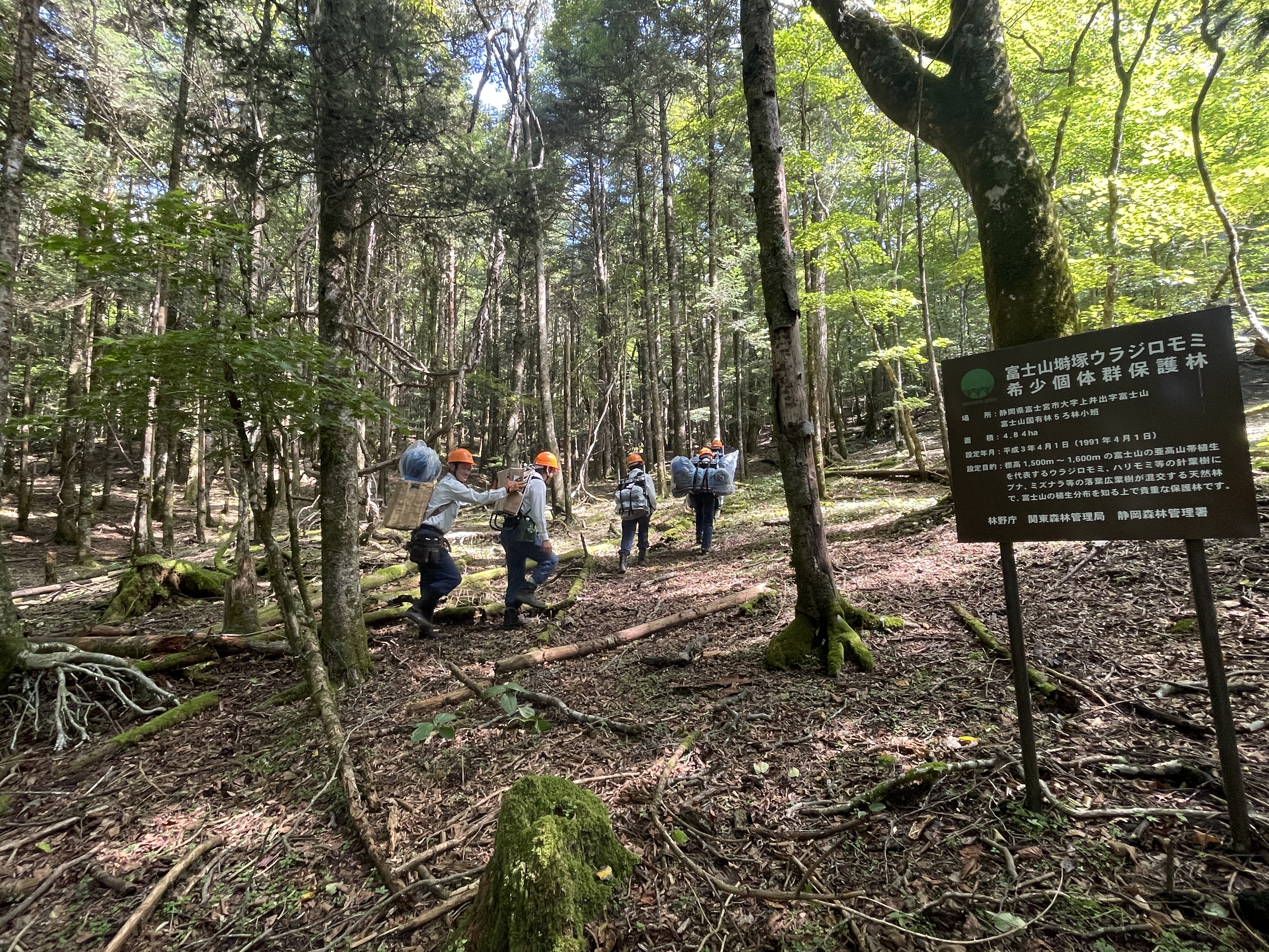 資材運搬の様子