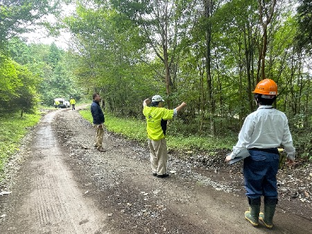 林道から確認する様子