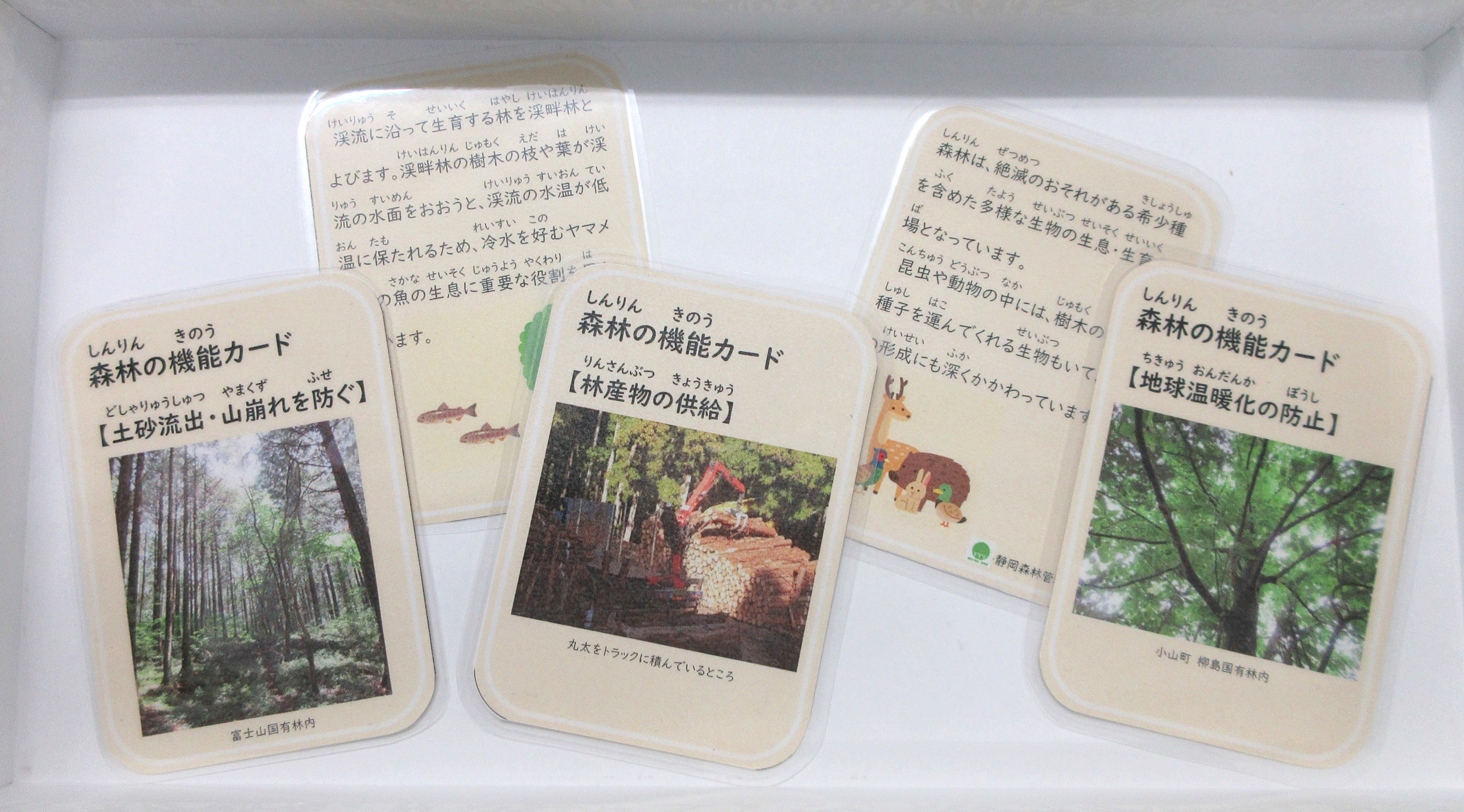 プレゼントした「森林の機能カード」