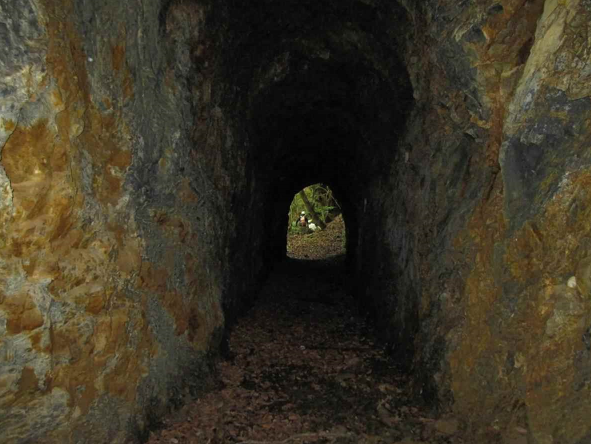 根利森林鉄道