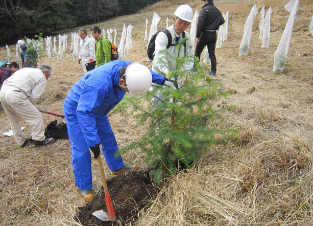 コウヨウザン植栽