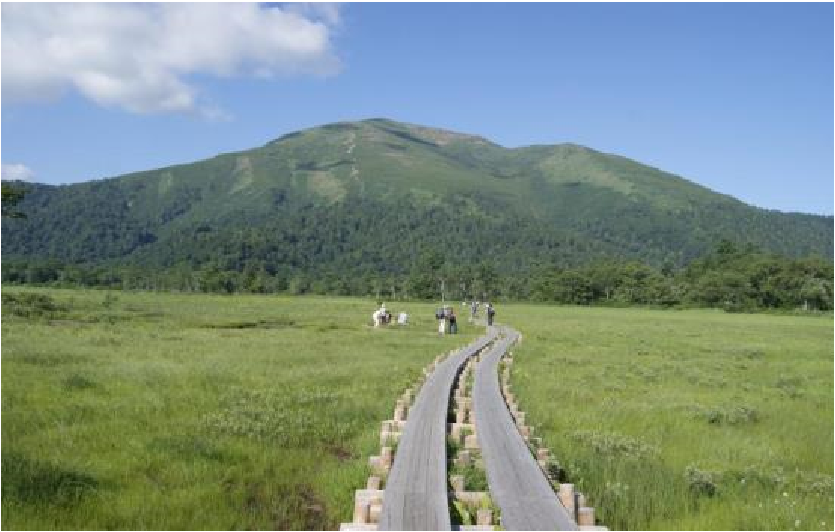 尾瀬ヶ原木道から望む至仏山