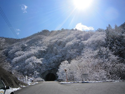 霧氷輝く峠道