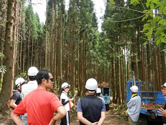 間伐事業現地検討会