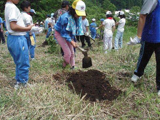 小学生による林業体験（植樹）