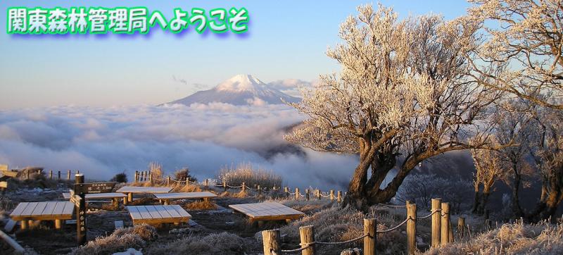 神奈川県の最高峰蛭ヶ岳山頂から望む富士山