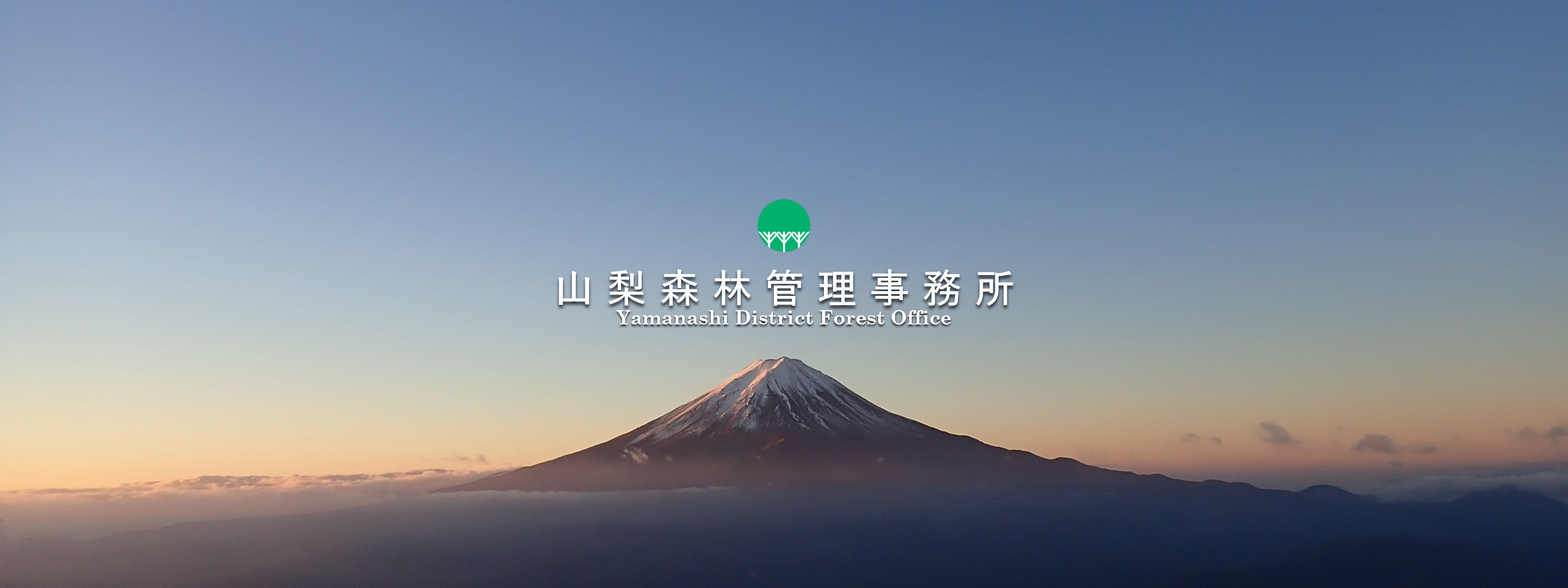 山梨森林管理事務所