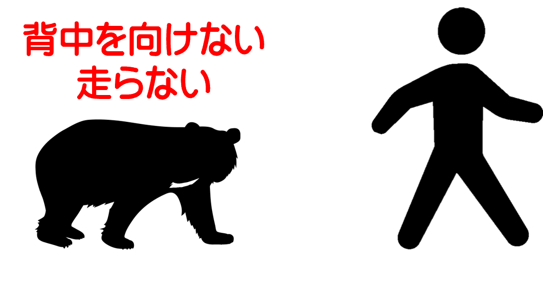 背中を向けない、走らない。
