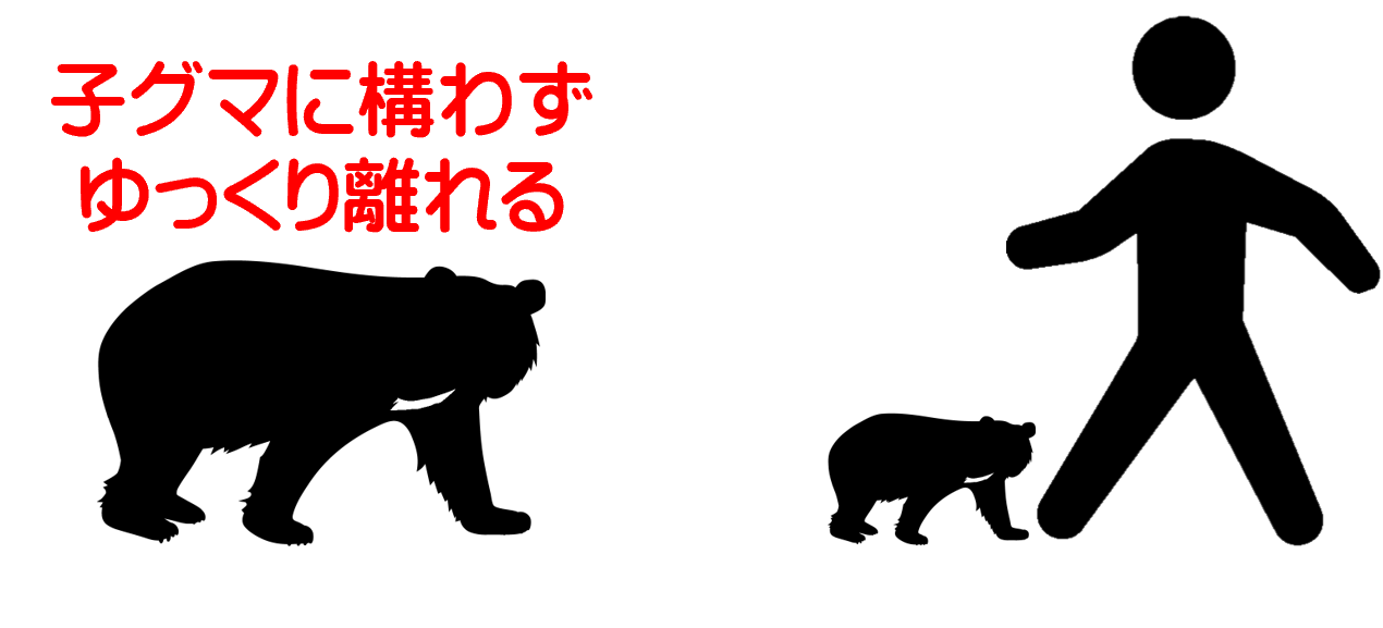 子グマに構わず、ゆっくり離れる。