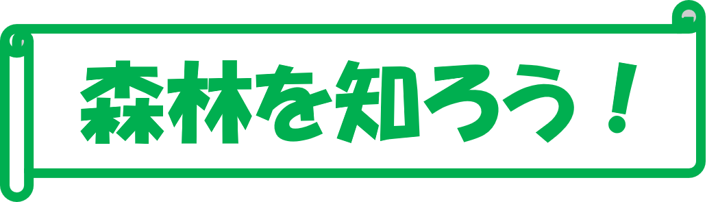 森林を知ろう！