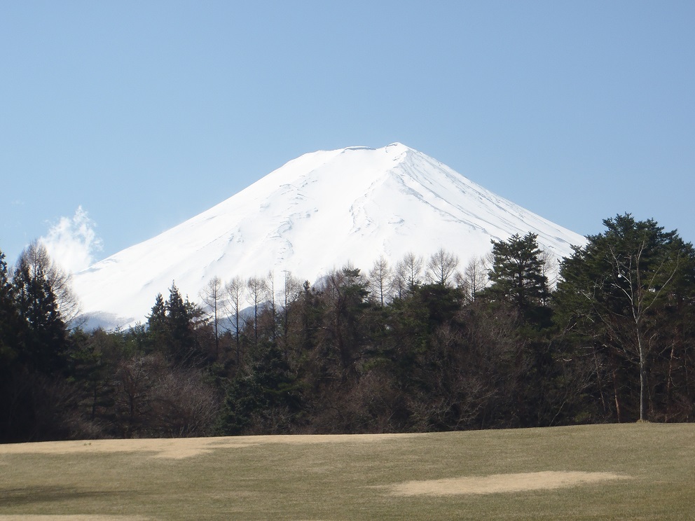 諏訪の森と富士山