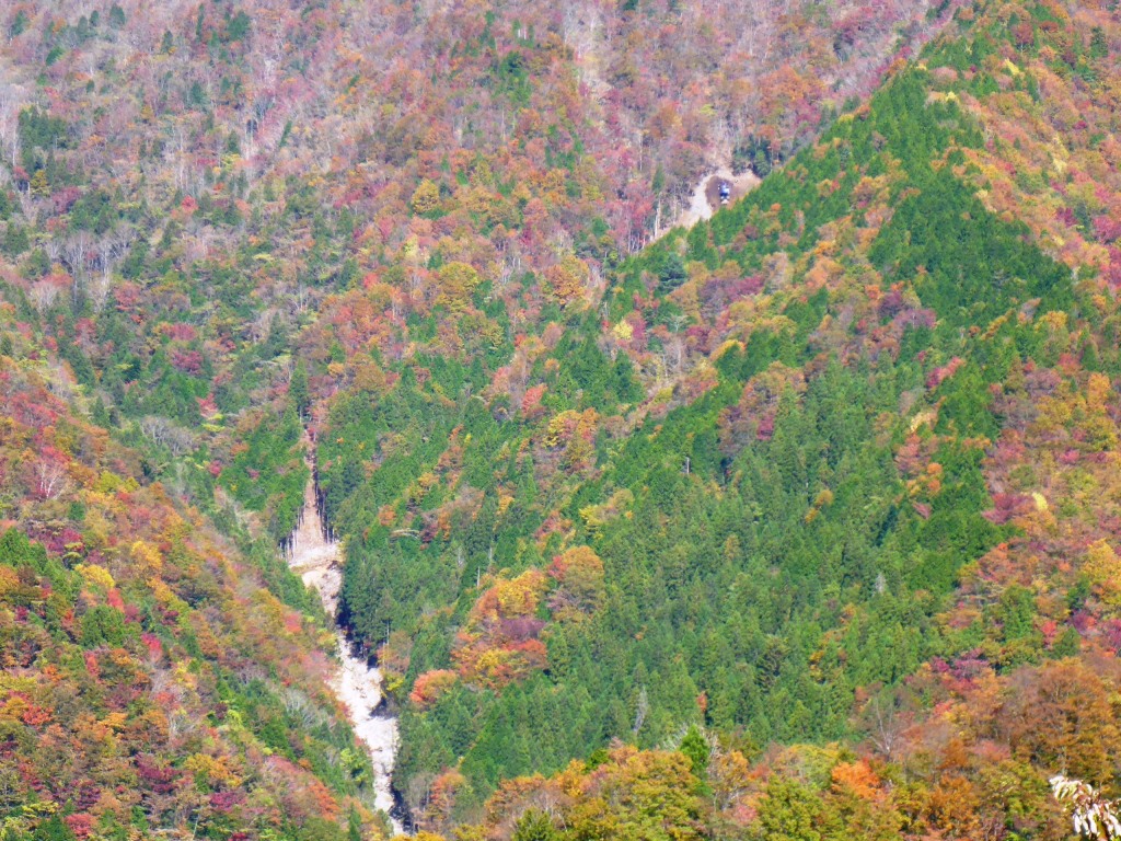 上佐野国有林空撮