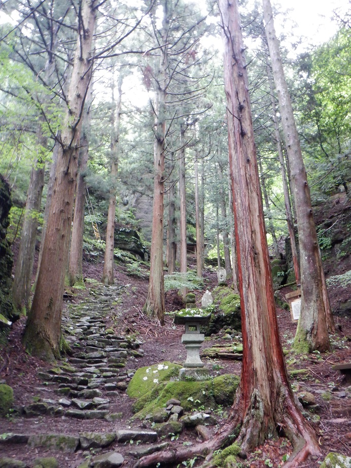 上積翆寺国有林古道