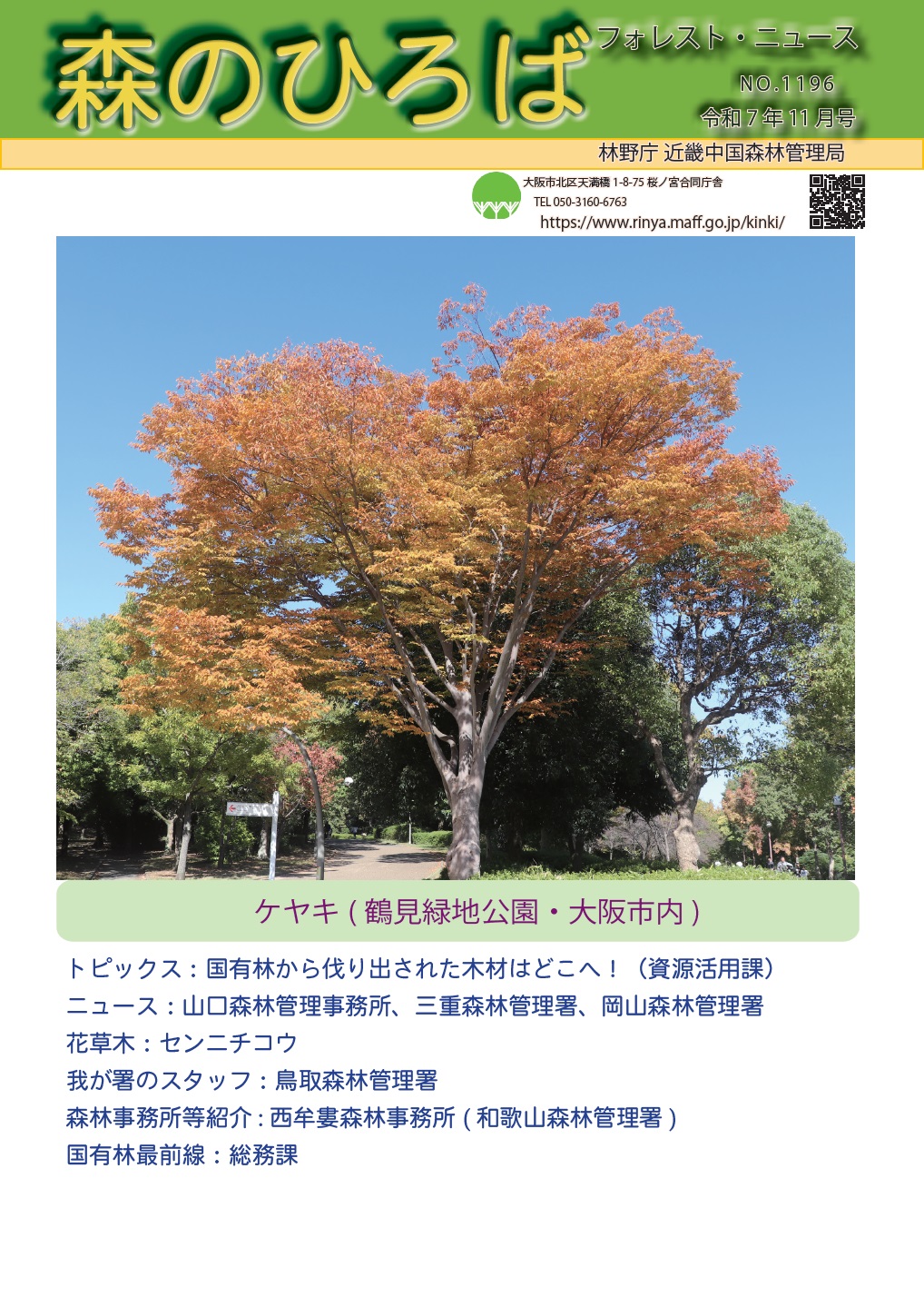 森のひろば11月号表紙