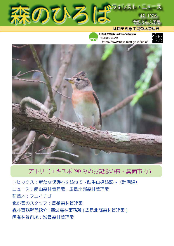 森のひろば３月号の表紙