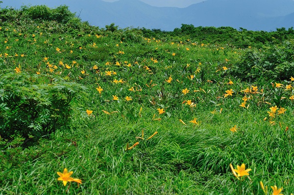 赤兎山