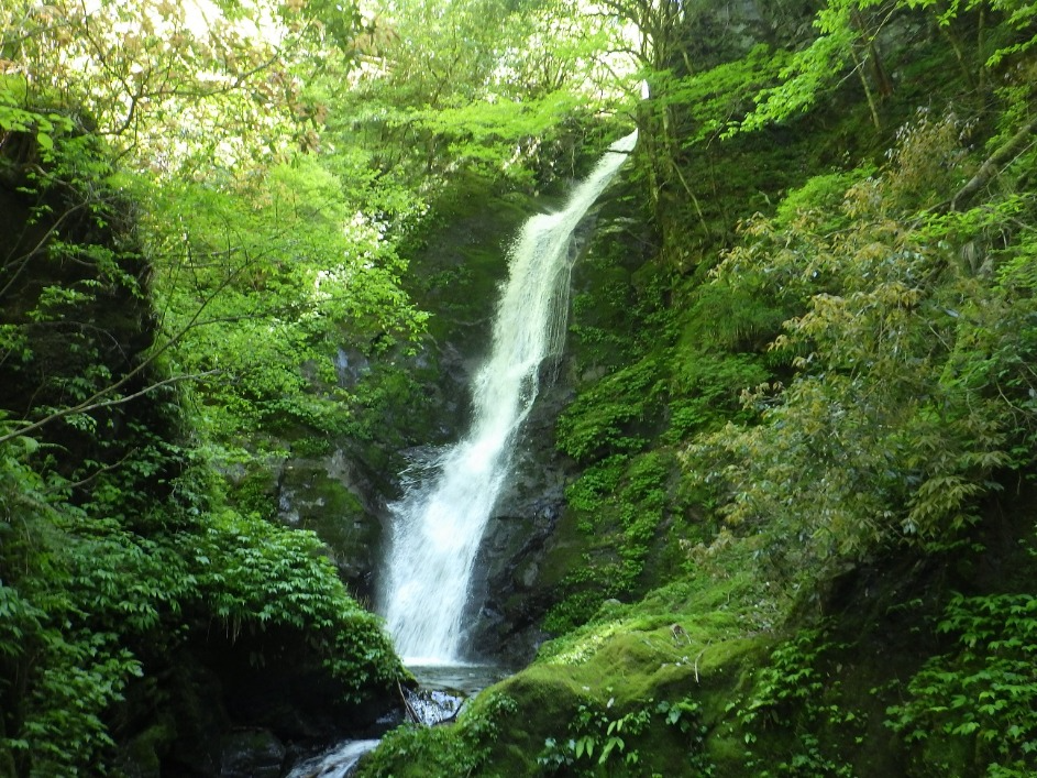 野鹿の滝（野鹿谷国有林）