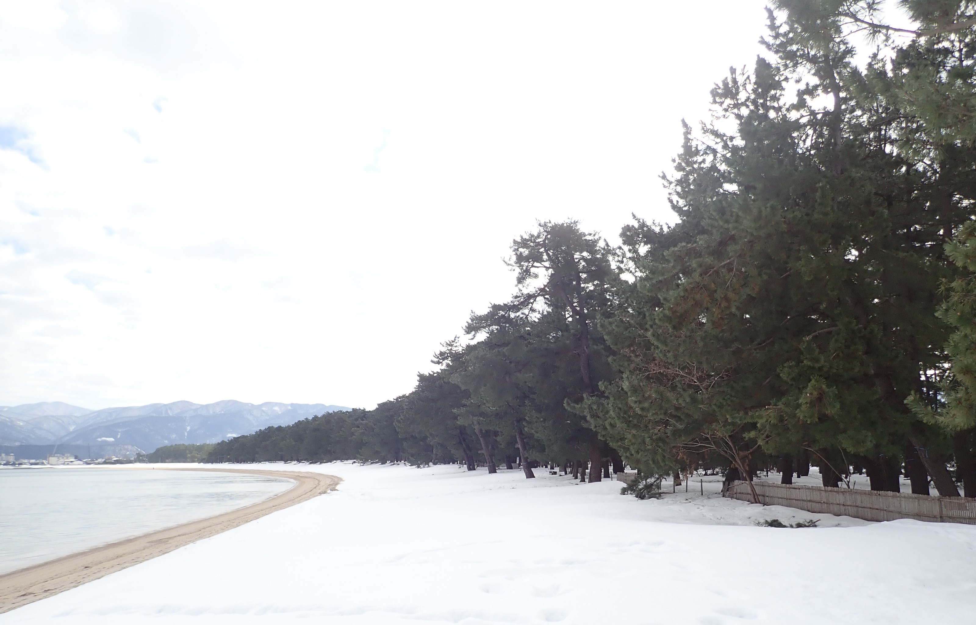 若狭湾と雪の気比の松原