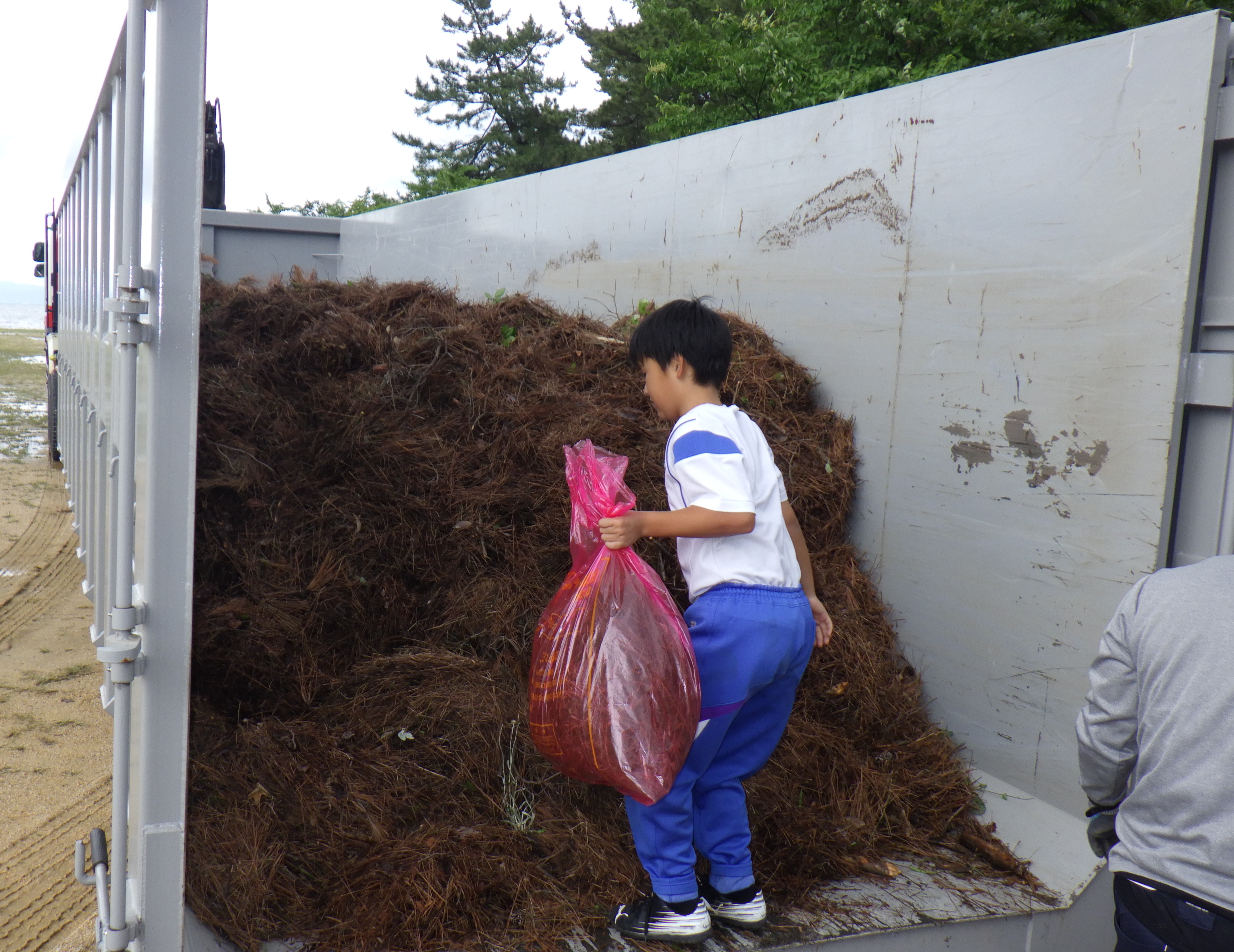 トラックの荷台に松葉を積み込む男子小学生