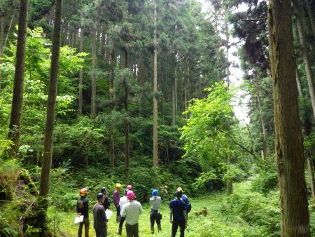 現地研修の様子