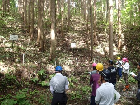現地研修の様子