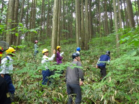現地研修の様子
