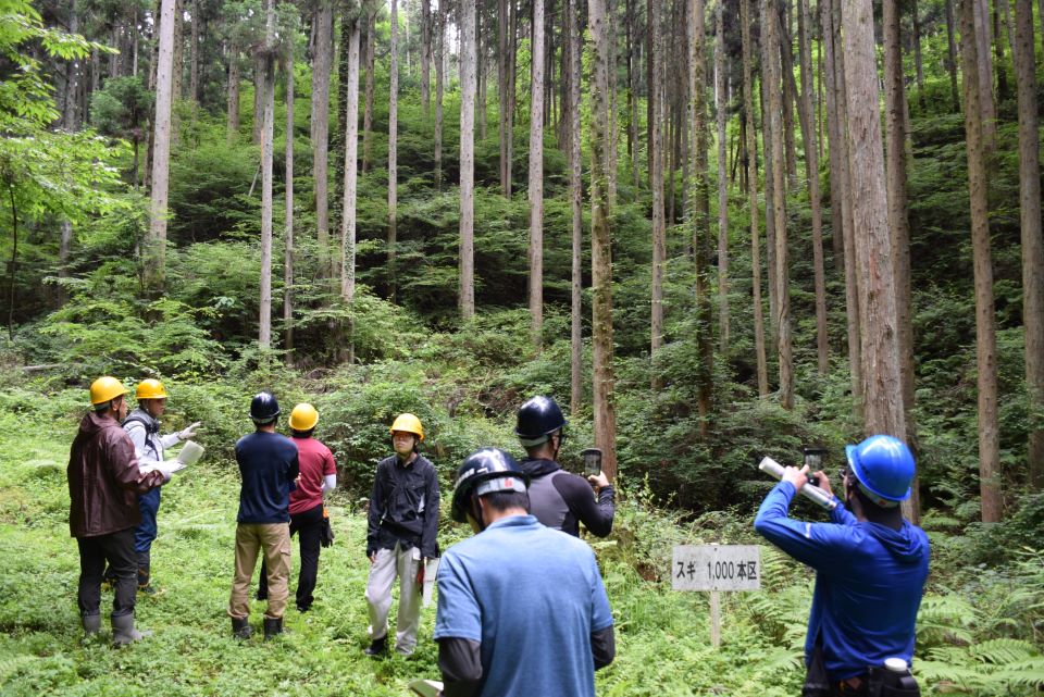 低密度植栽試験地について説明する様子