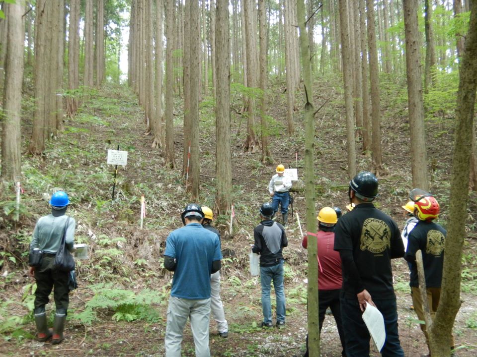 入開山国有林で列状間伐について説明する様子