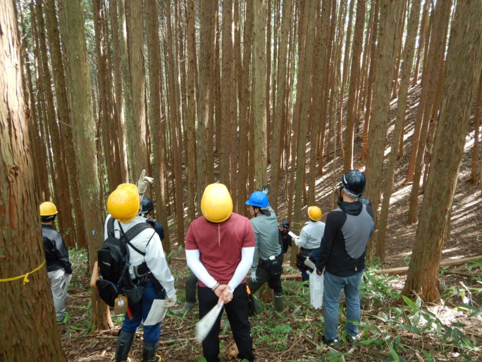無間伐箇所について説明をする様子