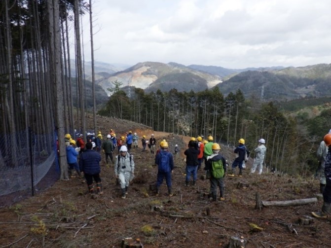 ステンレス線入りシカ防護柵の説明