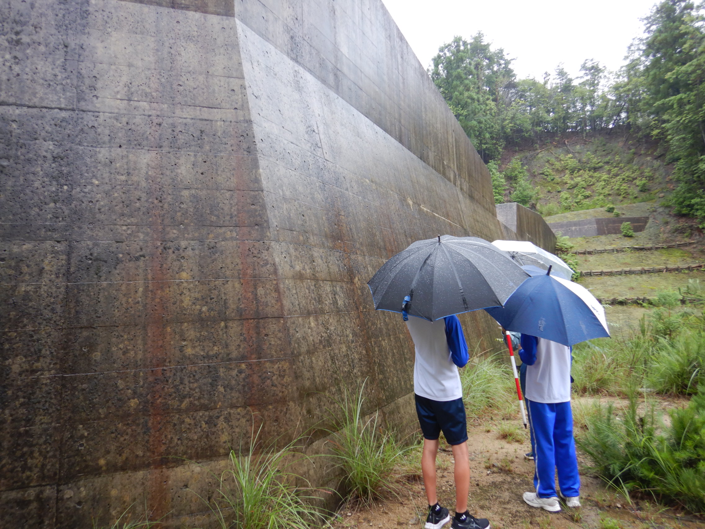 完成した治山ダムの見学