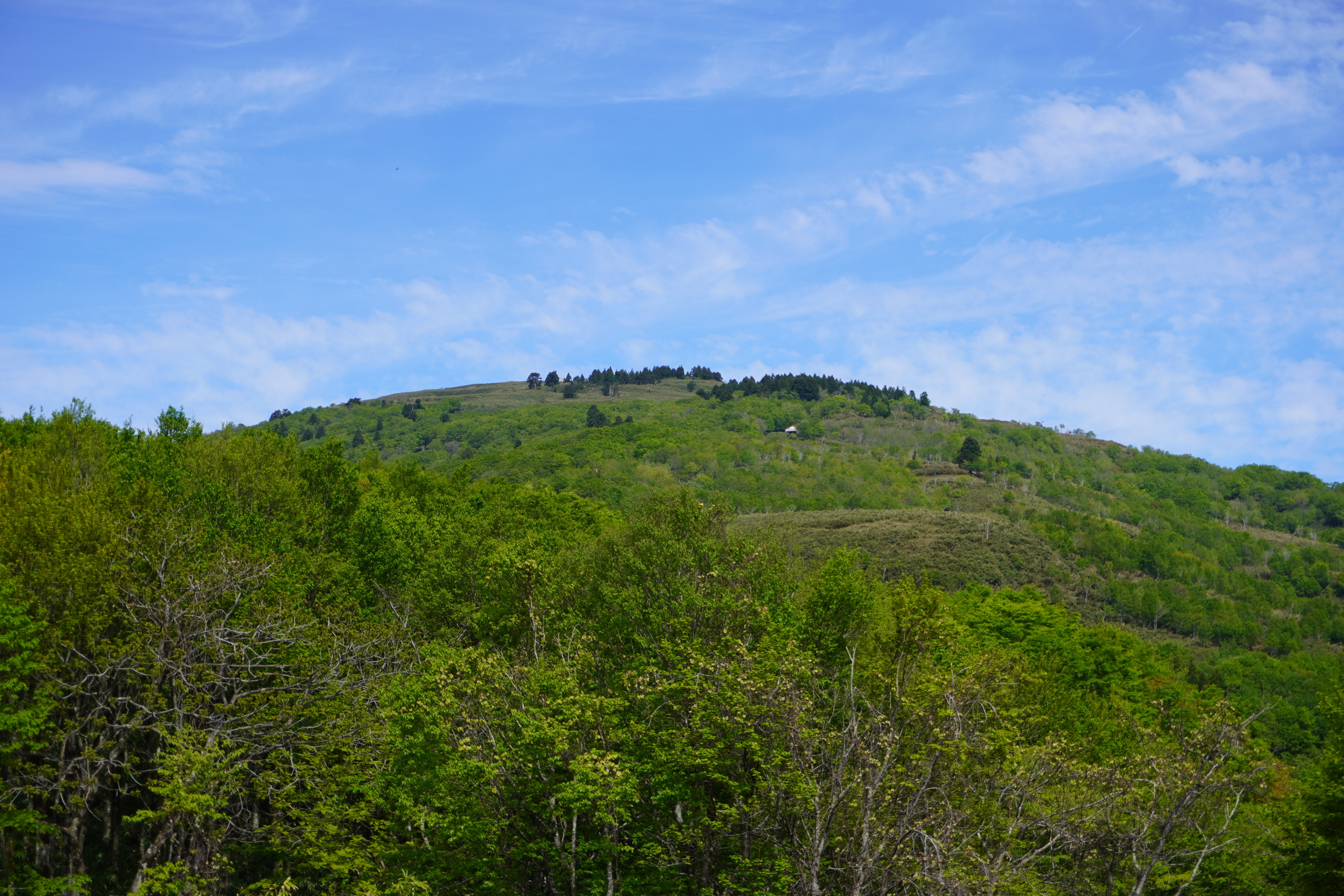 古生沼のある山頂付近の遠景