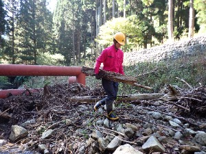 流木捕捉工の流木撤去_インターンシップ