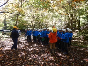 林内を散策しながら植物観察_国有林見学1年生