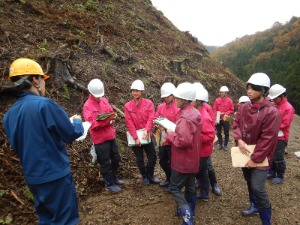 コンテナ苗の植付見学_国有林見学2年生