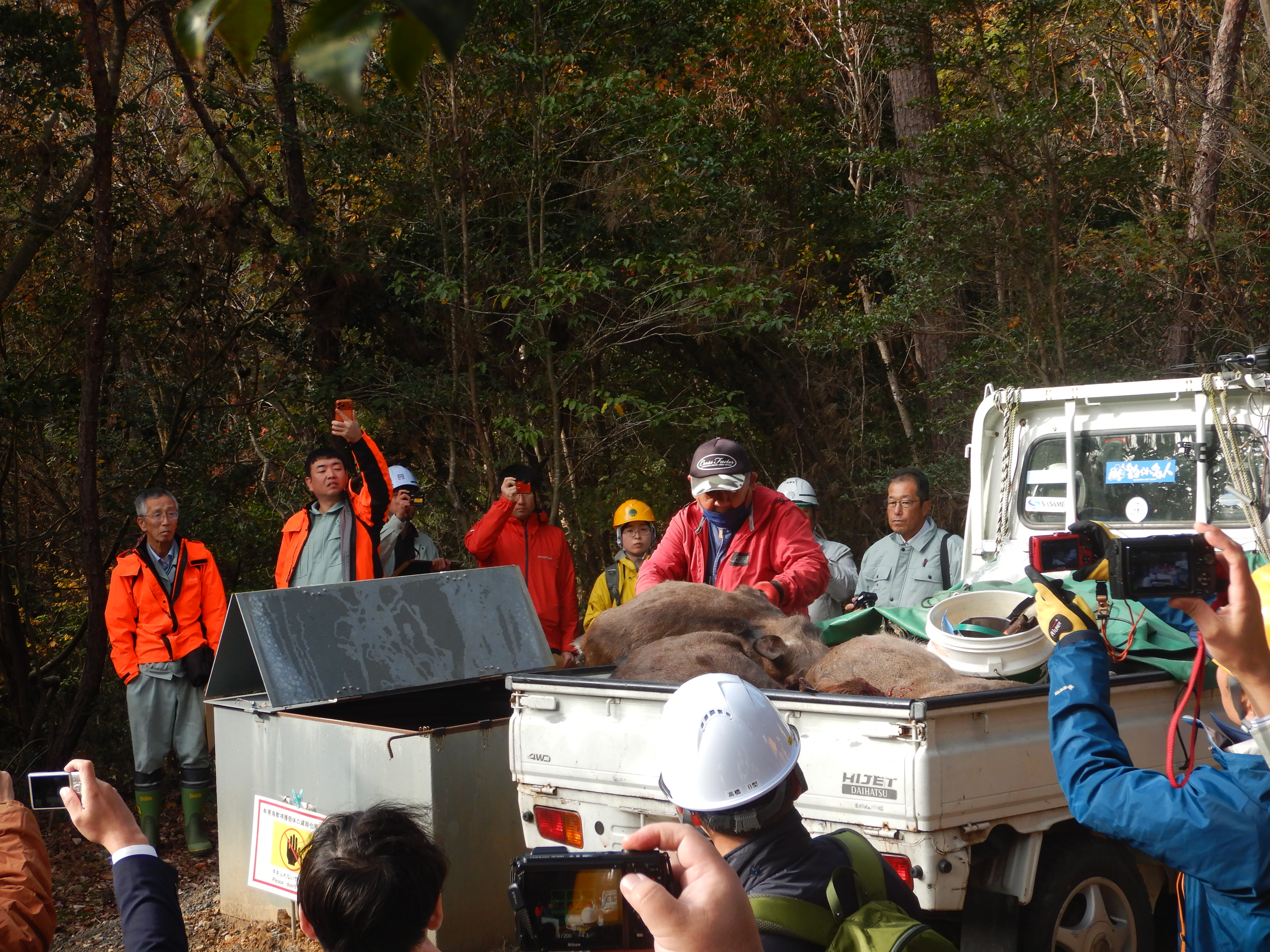 捕獲個体投入の実演