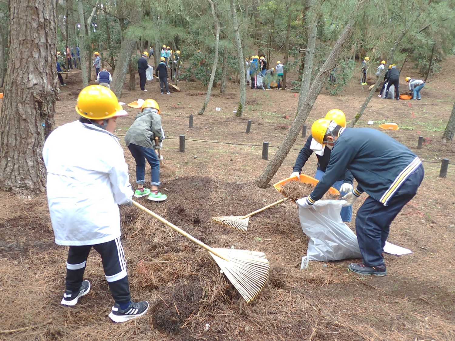 松葉かきの様子