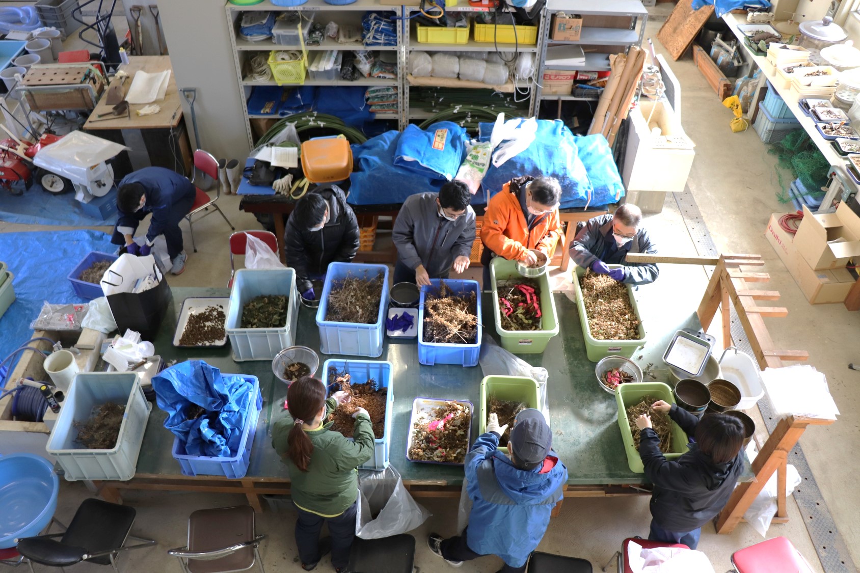 精選作業の様子1