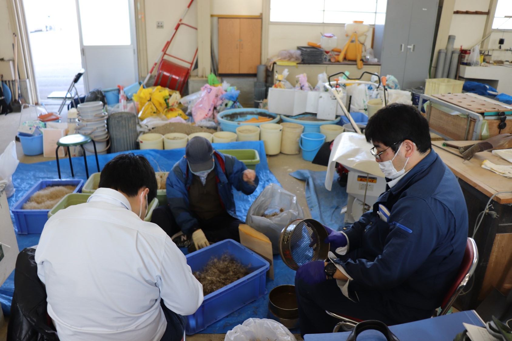 精選作業の様子4