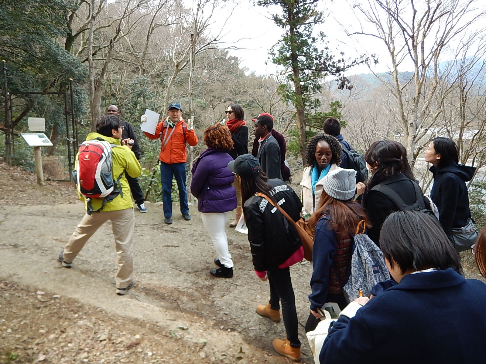 嵐山内部